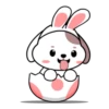 Cute puppy mov 8