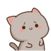 mochi cat[me] 15