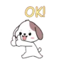 Cute puppy 8
