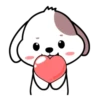 Cute puppy mov 10