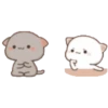mochi cat[you&me] 11