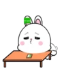 ️Lovely Rabbit .MOV 12