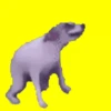 Hora de bailar, hora de fiesta 8
