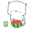 Lovely Cat   Mov 12