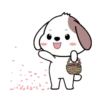 Cute puppy 10