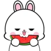 ️Lovely Rabbit .MOV 13