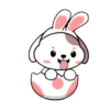 Cute puppy 11