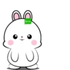 ️Lovely Rabbit .MOV 14