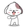 Cute puppy mov 16