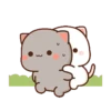 Котята мочиса 14