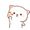 mochi cat [you] 15