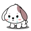 Cute puppy mov 18