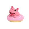 Rosa the Pig loves food 6