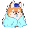 Perrito Corgi 1 MOV. 5