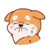 Perrito Corgi 1 MOV. 7