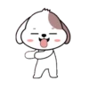 Cute puppy 13