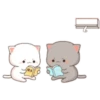 mochi cat[you&me] 16