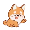 Perrito Corgi 1 MOV. 8