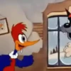 Pájaro Loco Mov 21