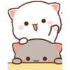 Котята мочиса 17