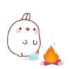 Molang Chubby Bunny 17