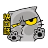 貓爪抓趁燒快抓動態 12