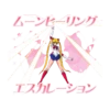 美少女戰士（日） 14