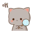 mochi cat[me] 19