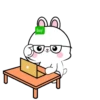 ️Lovely Rabbit .MOV 16