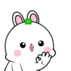 ️Lovely Rabbit .MOV 17