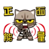 貓爪抓趁燒快抓動態 14