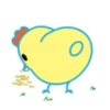 Cute chick 2 16