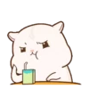 Hamster pudding 12