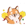 Perrito Corgi 1 MOV. 12