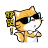 貓爪抓趁燒快抓動態 15
