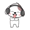 Cute puppy 16