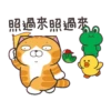 白爛貓xBROWN & FRIENDS 14