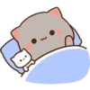 Peach & Goma Cat #2 23