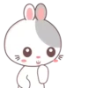 Rabbit 2 MOV. 19