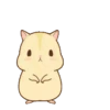 Hamster pudding 14