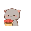 mochi cat[me] 23