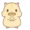 Hamster pudding 17