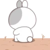 Rabbit 2 MOV. 20