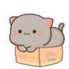 mochi cat[me] 25