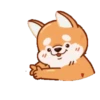 Perrito Corgi 1 MOV. 13