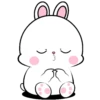 ️Lovely Rabbit .MOV 20