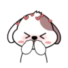 Cute puppy 17