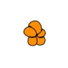Orange Flower