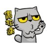 貓爪抓趁燒快抓動態 20