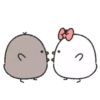 Blcak & White Chick3 22